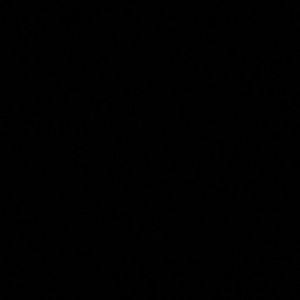 Meet your Posher, Iquail